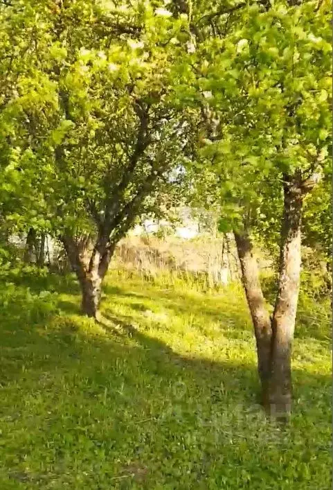 Дом в Брянская область, Брянский район, Супоневское с/пос, д. ... - Фото 1