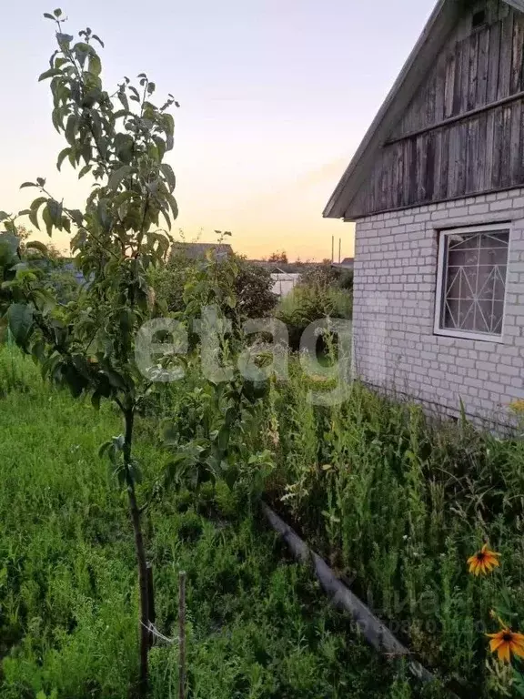 Дом в Брянская область, Сельцо  (28 м) - Фото 1
