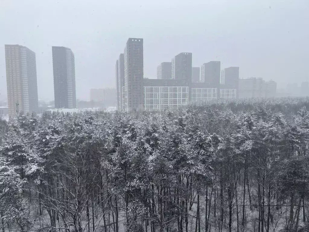 2-к кв. Московская область, Котельники ул. Сосновая, 2 (64.5 м) - Фото 2