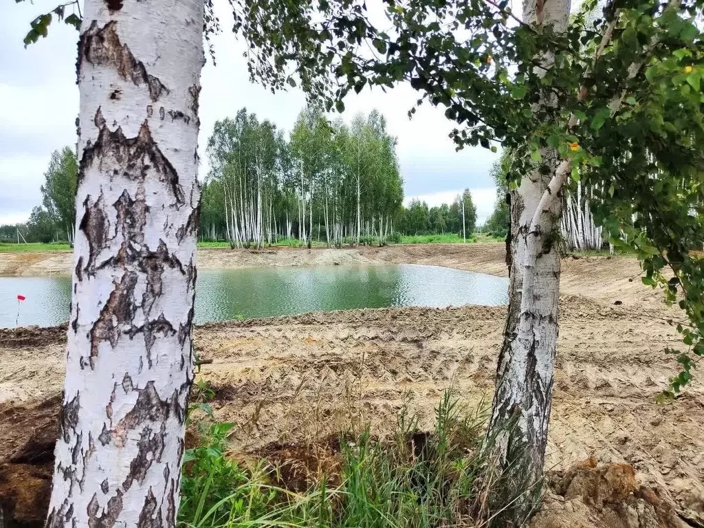 Участок в Тюменская область, Нижнетавдинский муниципальный округ, 7 ... - Фото 1