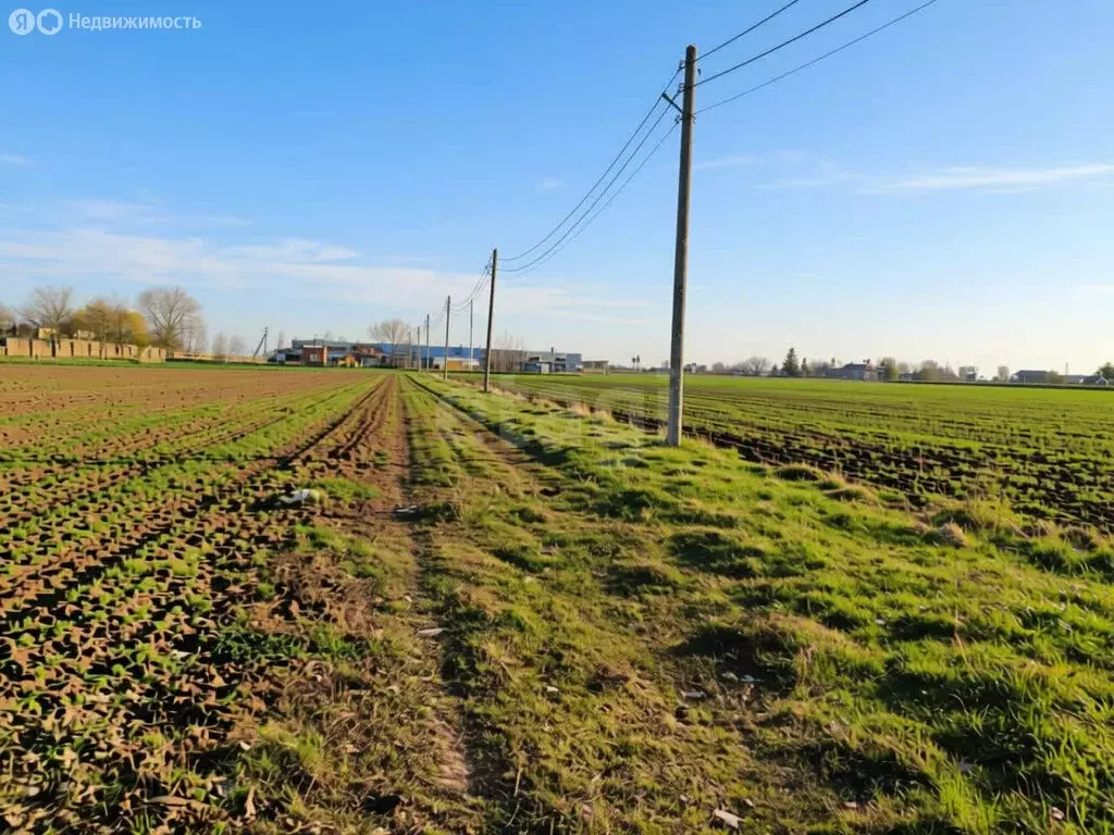 Участок в Краснодарский край, Славянск-на-Кубани (5.35 м) - Фото 2