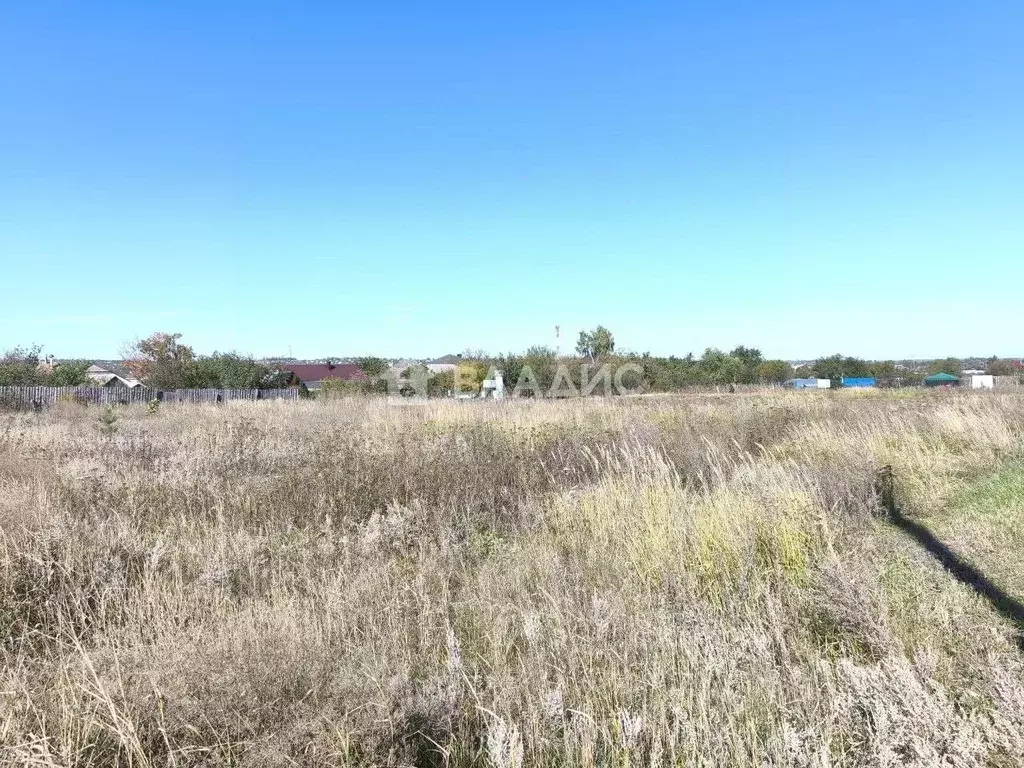 Участок в Воронежская область, Рамонский район, Новоживотинновское ... - Фото 1