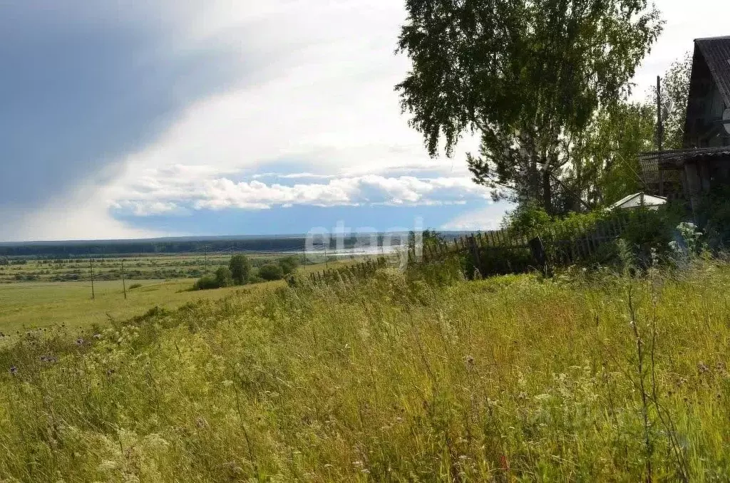 Участок в Коми, Сыктывдинский район, Палевицы муниципальное ... - Фото 0