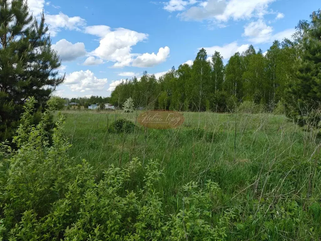 Участок в Тюменская область, Тюменский район, с. Перевалово ул. ... - Фото 2