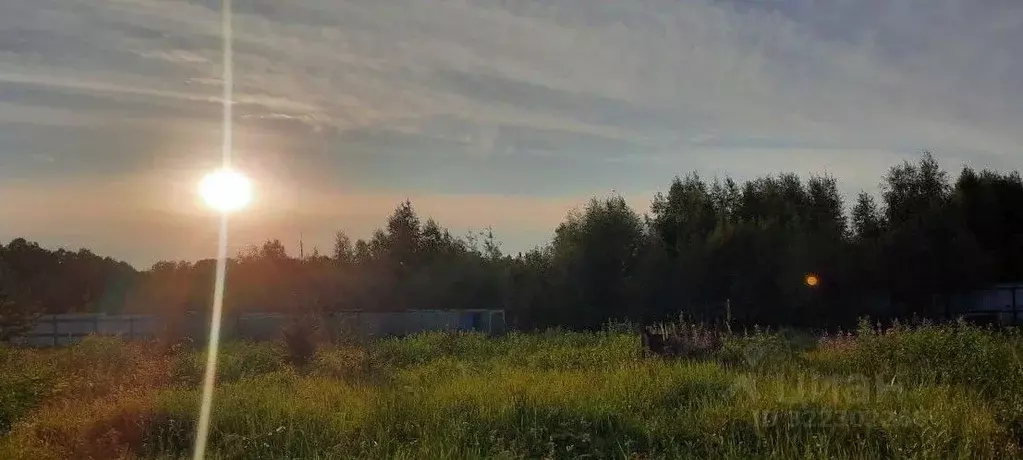 Участок в Московская область, Рузский муниципальный округ, д. ... - Фото 2