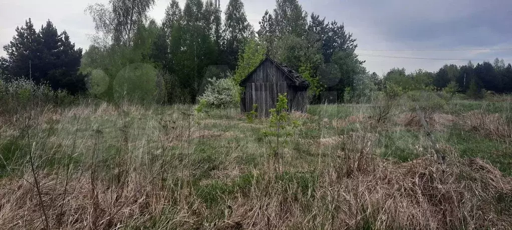 Участок 1,6 сот. (ИЖС) - Фото 0