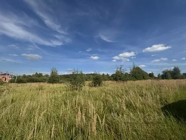 Участок в Московская область, Воскресенск городской округ, с. Усадище ... - Фото 1