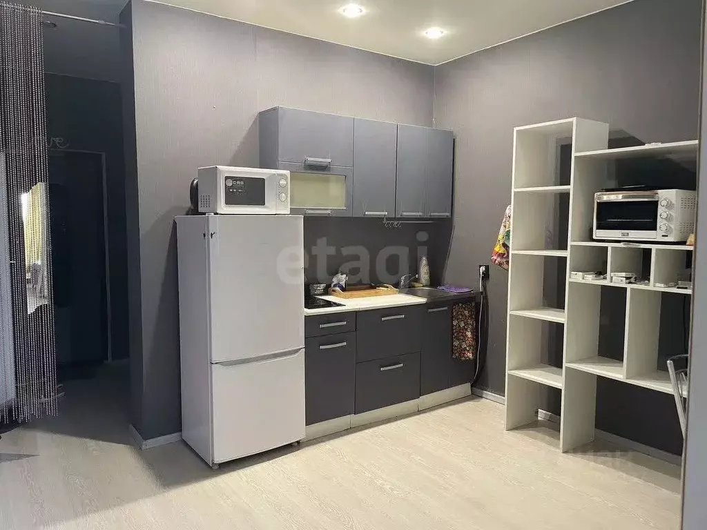 Студия Новосибирская область, Новосибирск ул. Фадеева, 66/4 (31.1 м) - Фото 2