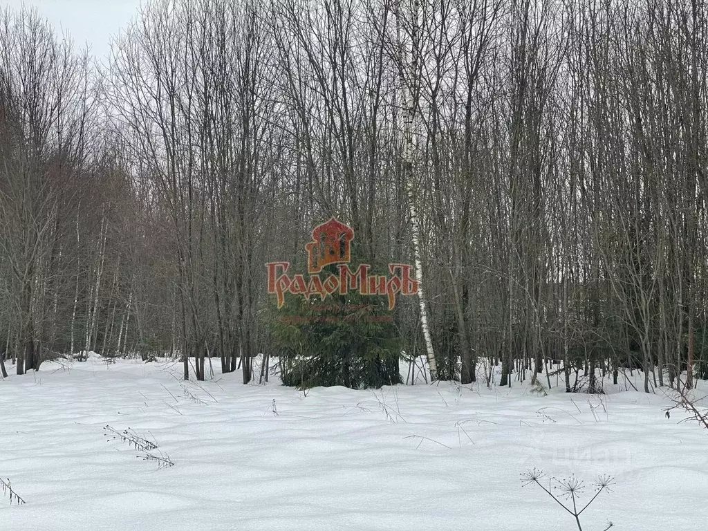 Участок в Московская область, Сергиево-Посадский городской округ, д. ... - Фото 0