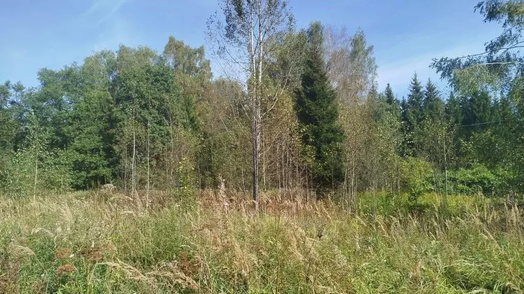 Участок в Московская область, Талдомский городской округ, Запрудня пгт ... - Фото 1