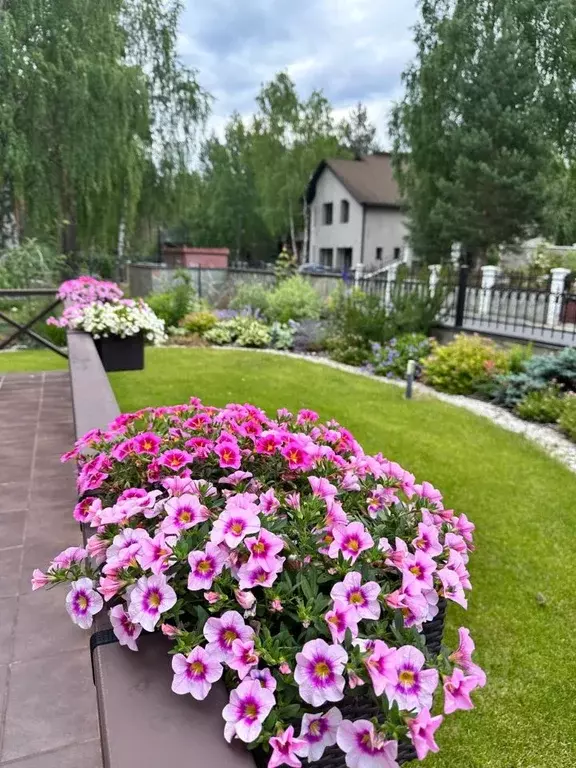 Коттедж в Коми, Сыктывдинский район, с. Выльгорт ул. Береговая, 9 (360 ... - Фото 1