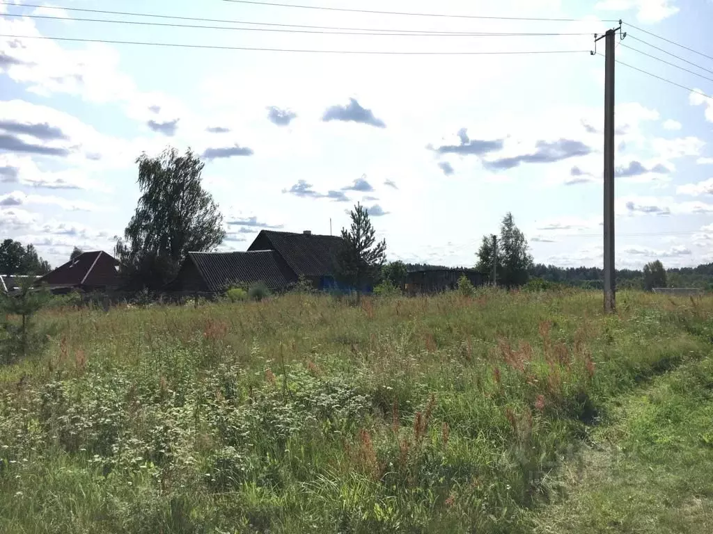 участок в новгородская область, маловишерский район, бургинское с/пос, . - Фото 0