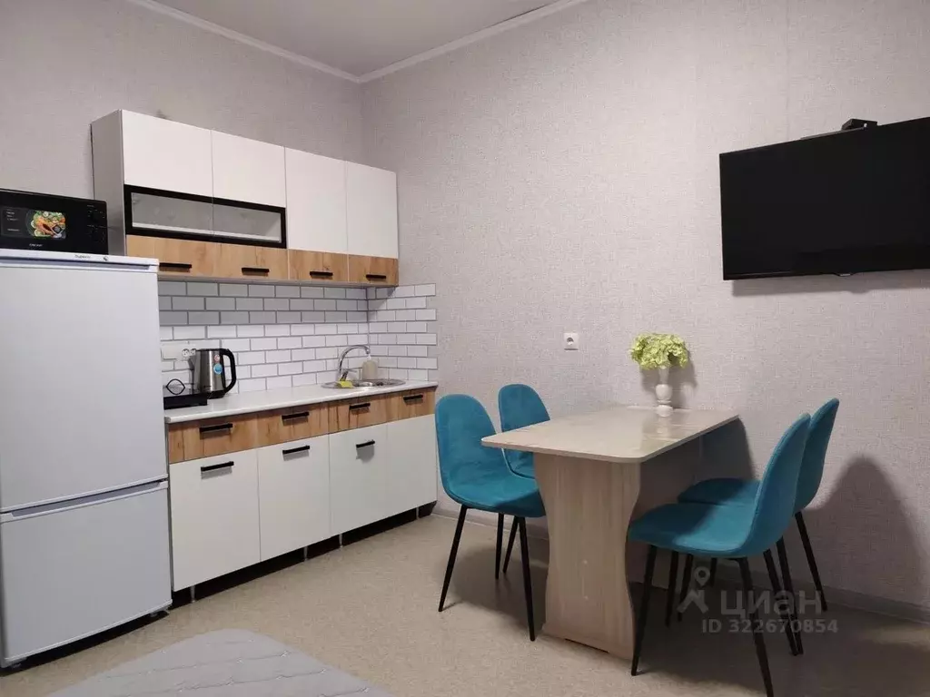 1-к кв. Забайкальский край, Чита ул. Красной Звезды, 38Г (28.0 м) - Фото 2