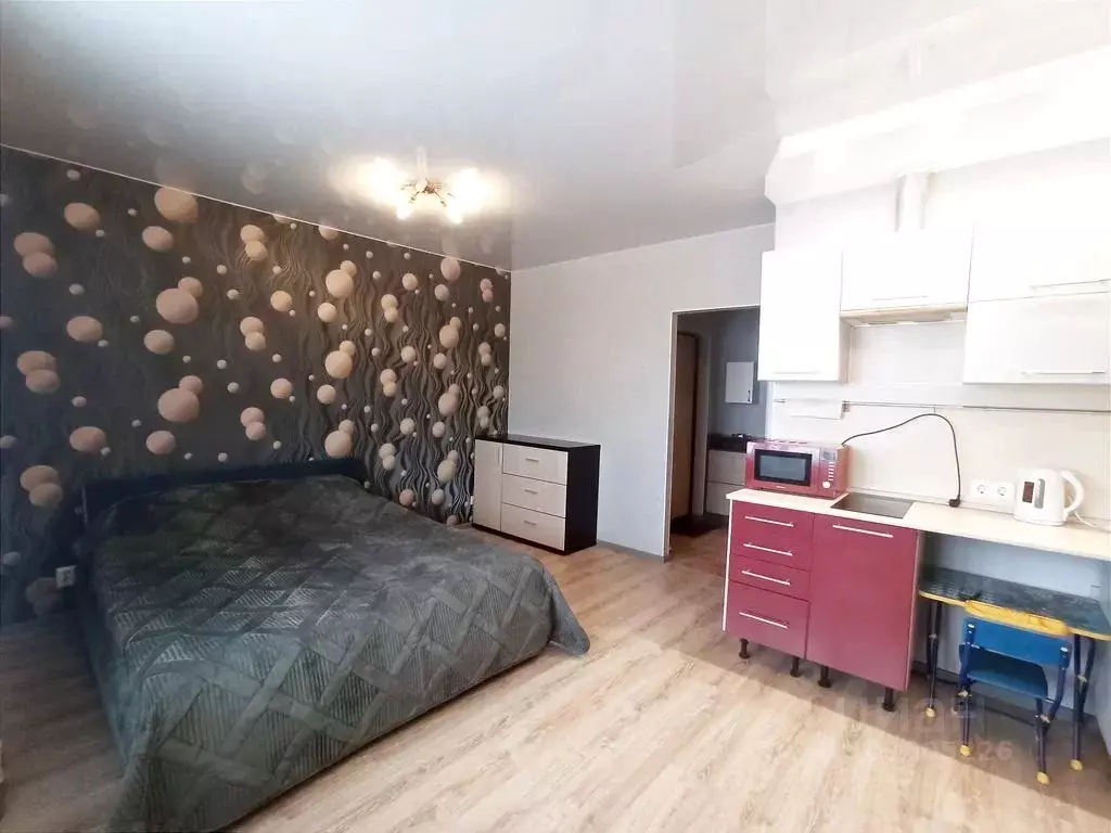 Студия Санкт-Петербург просп. Королева, 69 (30.0 м) - Фото 0