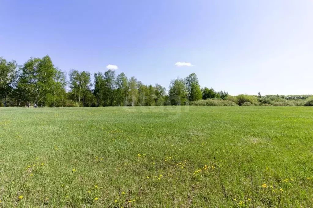 Участок в Тюменская область, Тюмень  (8.0 сот.) - Фото 1