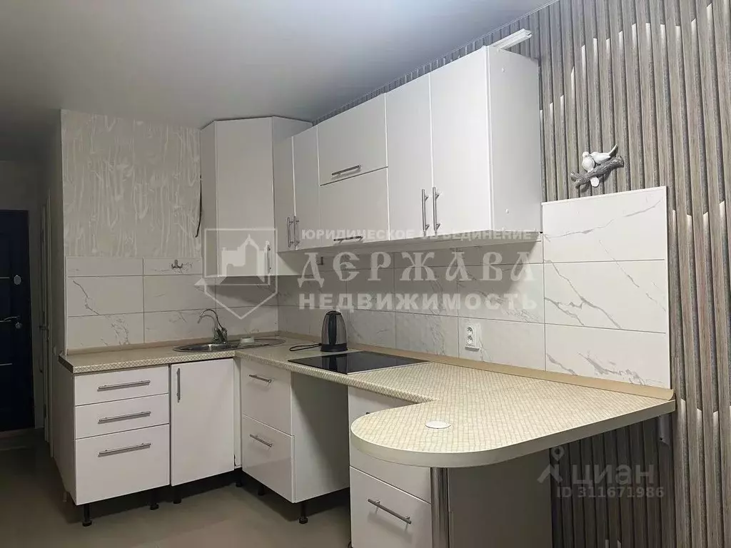1-к кв. Кемеровская область, Кемерово Ногинская ул., 10 (24.0 м) - Фото 0