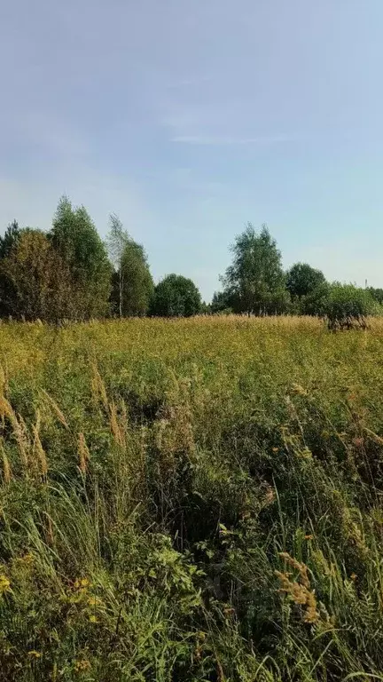 Участок в Калужская область, Малоярославецкий район, Коллонтай с/пос, ... - Фото 0