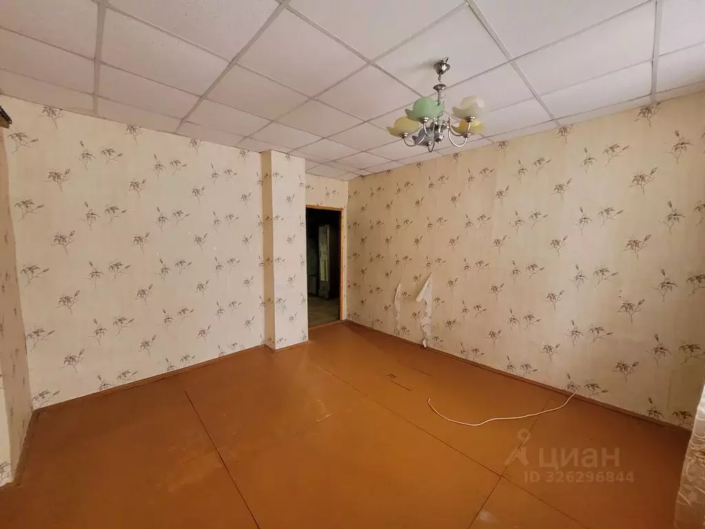 3-к кв. Ленинградская область, Сланцы пос. Большие Лучки, ул. ... - Фото 2