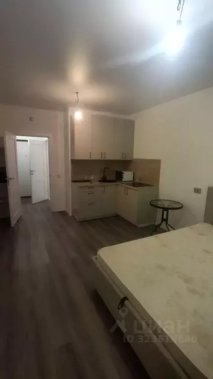 Студия Санкт-Петербург Дальневосточный просп., 19к1 (24.6 м) - Фото 1