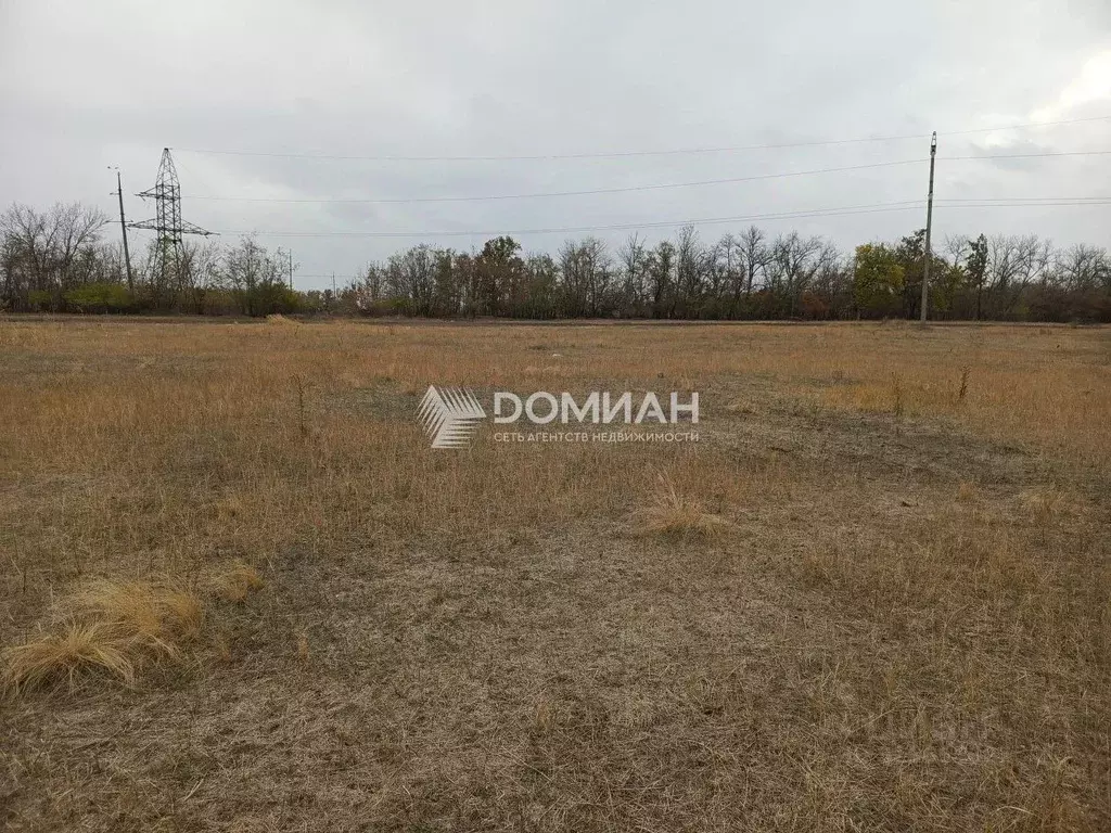 Участок в Ростовская область, Октябрьский район, пос. Персиановский ... - Фото 1