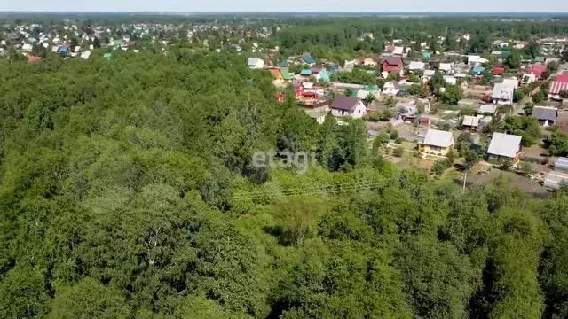 Участок 8 сот. (СНТ, ДНП) - Фото 1