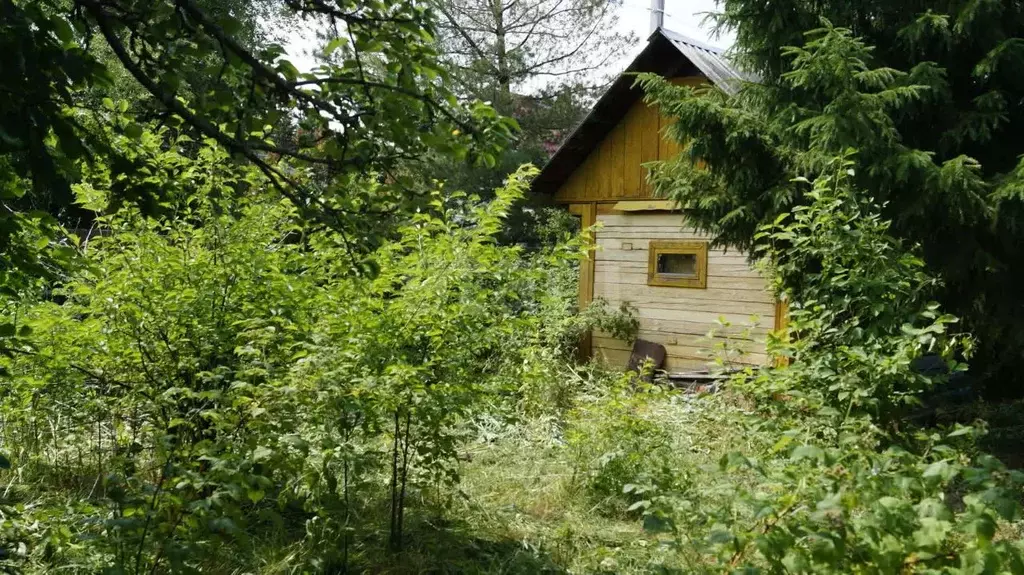Дом в Тюменская область, Тюмень Сосенка-81 садовое товарищество, ул. ... - Фото 0