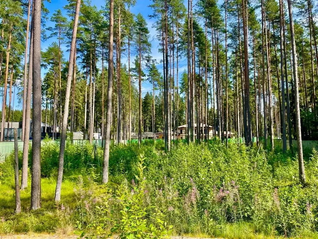 100 000 000 Руб., Участок в Санкт-Петербург, Санкт-Петербург, Зеленогорск  ул. Танкистов ..., Купить земельный участок в Санкт-Петербурге, ID объекта  - 20004216476