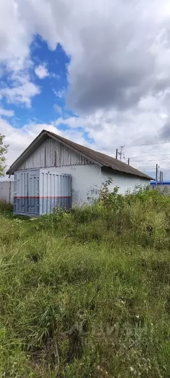 Помещение свободного назначения в Чувашия, Канаш ул. Карла Маркса, 1 ... - Фото 1