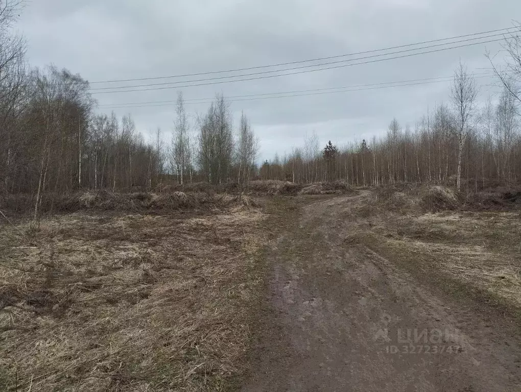 Участок в Нижегородская область, с. Безводное  (14.0 сот.) - Фото 1