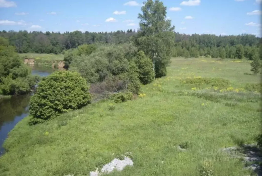 Участок в Московская область, Богородский городской округ, с. ... - Фото 0