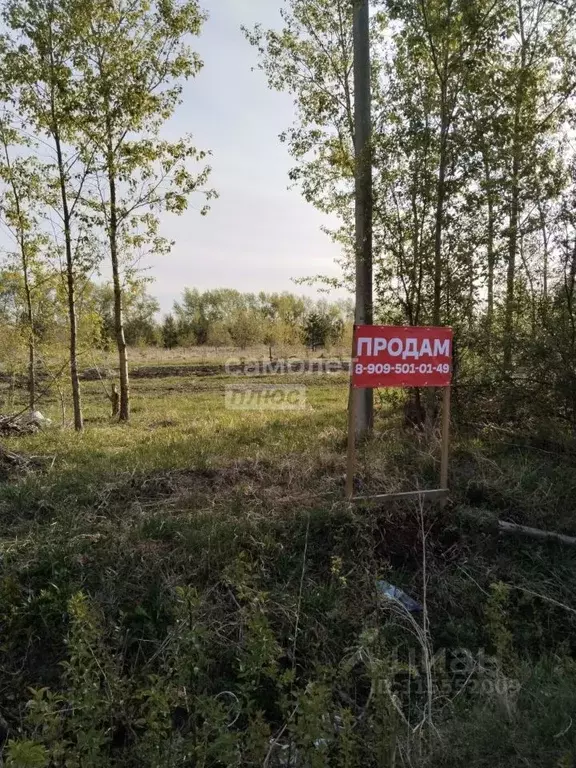 Участок в Алтайский край, Барнаул городской округ, пос. Бельмесево ул. ... - Фото 0
