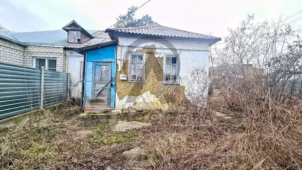 3-к кв. Краснодарский край, Апшеронск ул. Королева (48.8 м) - Фото 0