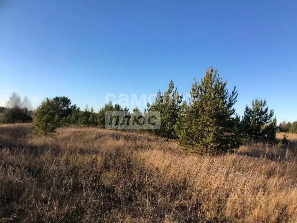 Участок в Татарстан, Елабужский район, Поспеловское с/пос, с. ... - Фото 2