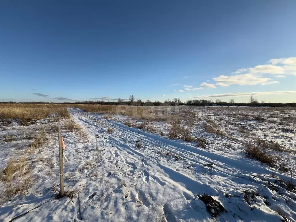 Участок в Тюменская область, Тюменский район, с. Чикча  (8.21 сот.) - Фото 0