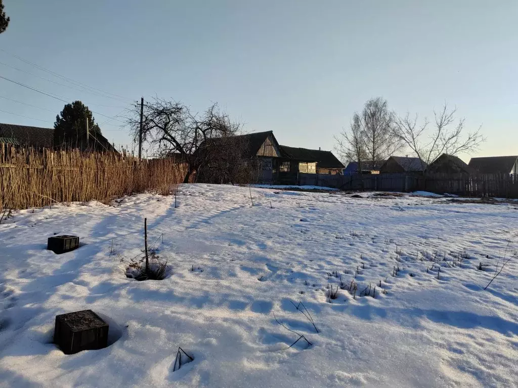 Участок в Брянская область, Брянский район, Нетьинское с/пос, пос. ... - Фото 1