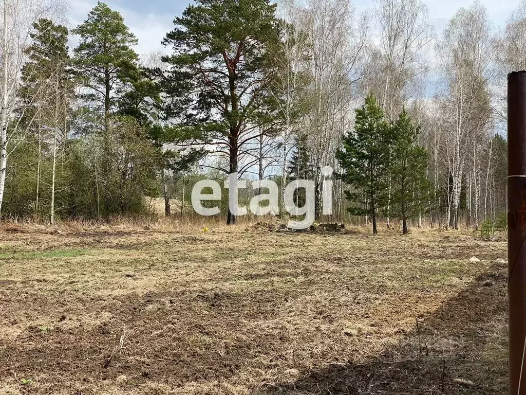 Участок в Красноярский край, Емельяново городское поселение, д. Крутая ... - Фото 1