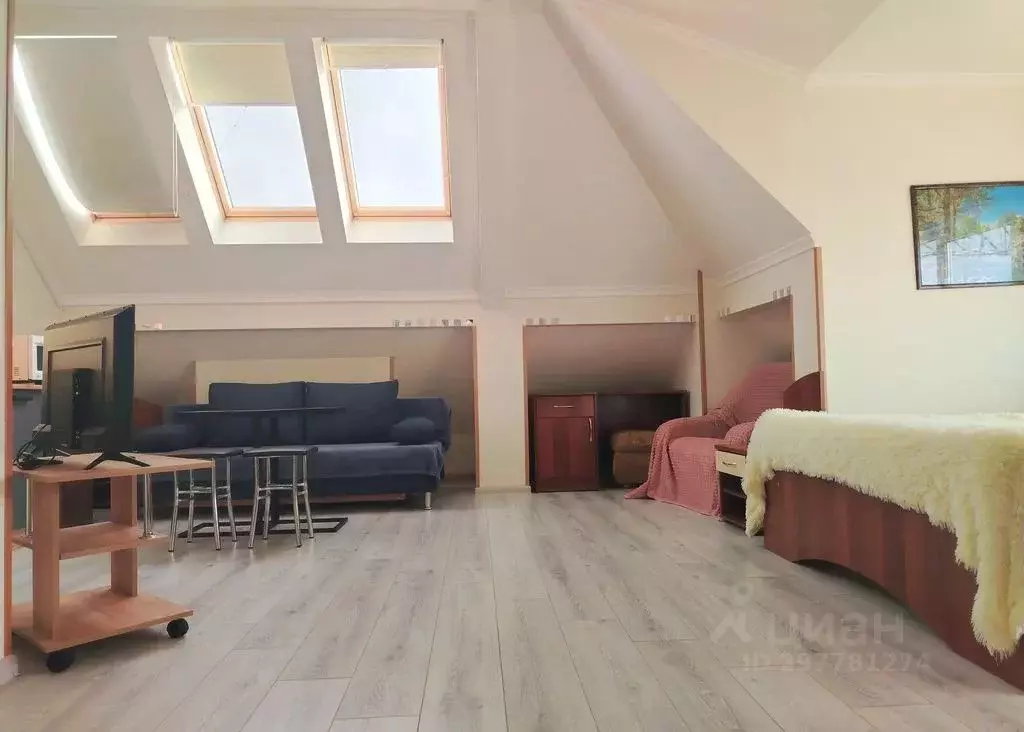 Комната Краснодарский край, Сочи городской округ, Дагомыс пгт ул. ... - Фото 2