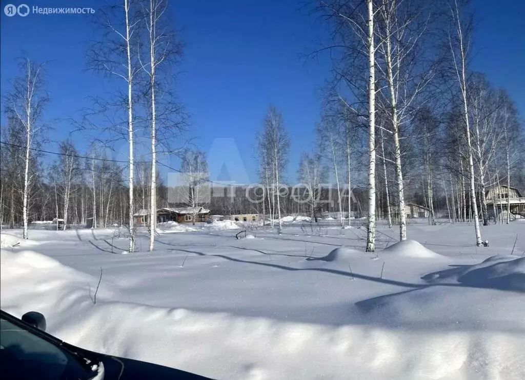 Участок в Станционный сельсовет (8.62 м) - Фото 2