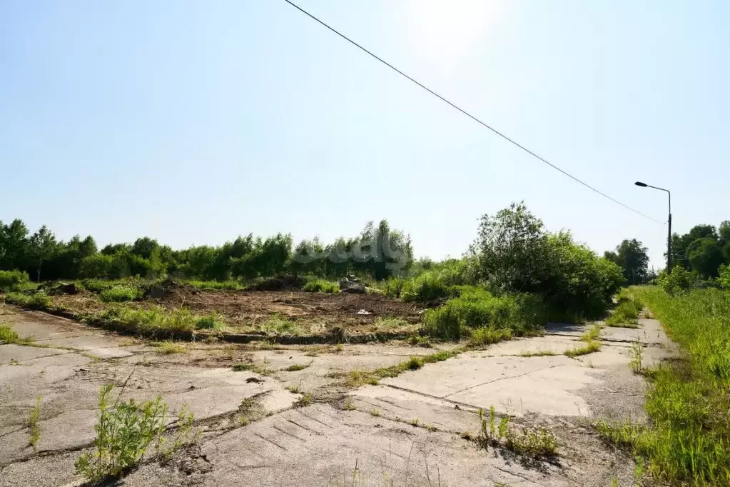 Участок в Томская область, Северск ул. Тургенева (11.4 сот.) - Фото 0