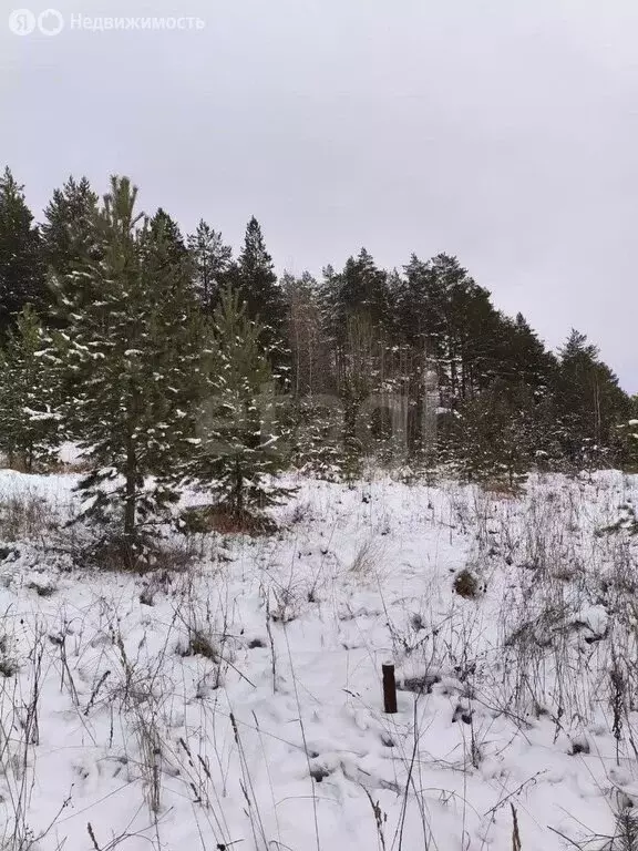 Участок в Пермь (16.51 м) - Фото 2