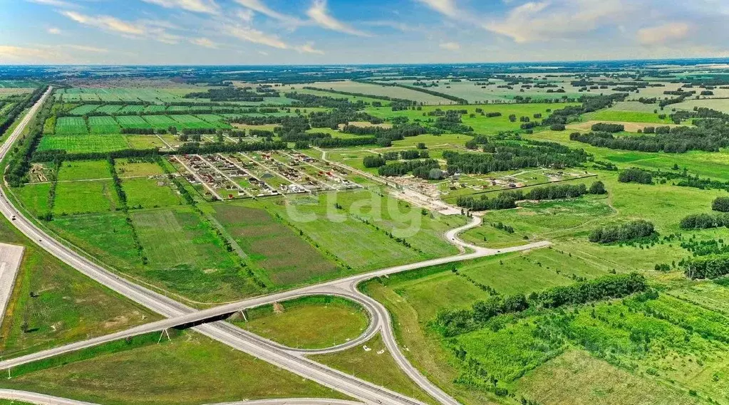 Участок в Новосибирская область, Новосибирский район, Сибирские ... - Фото 1