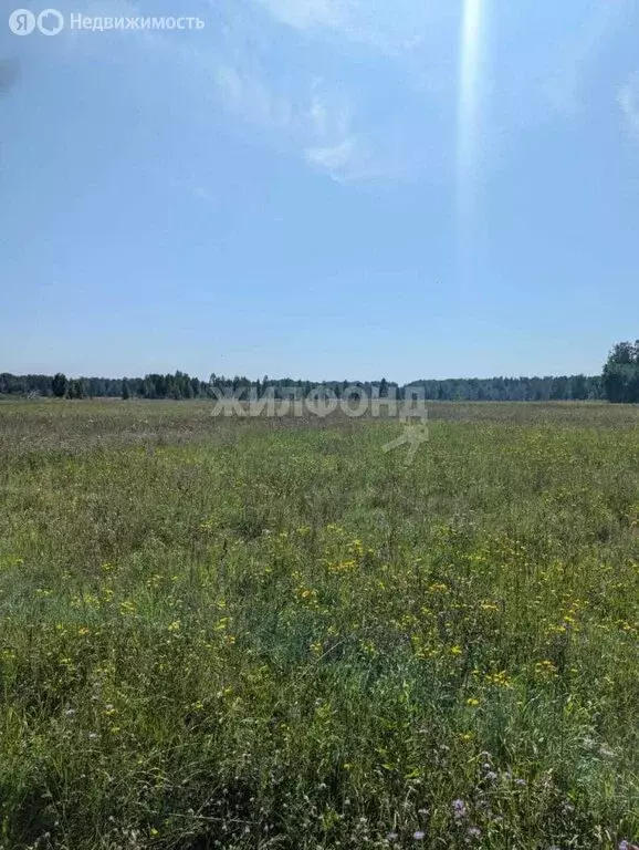 Участок в Барлакский сельсовет, территория ТСН Времена года, ... - Фото 0