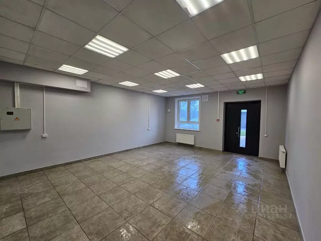 Помещение свободного назначения в Новосибирская область, Новосибирск ... - Фото 1