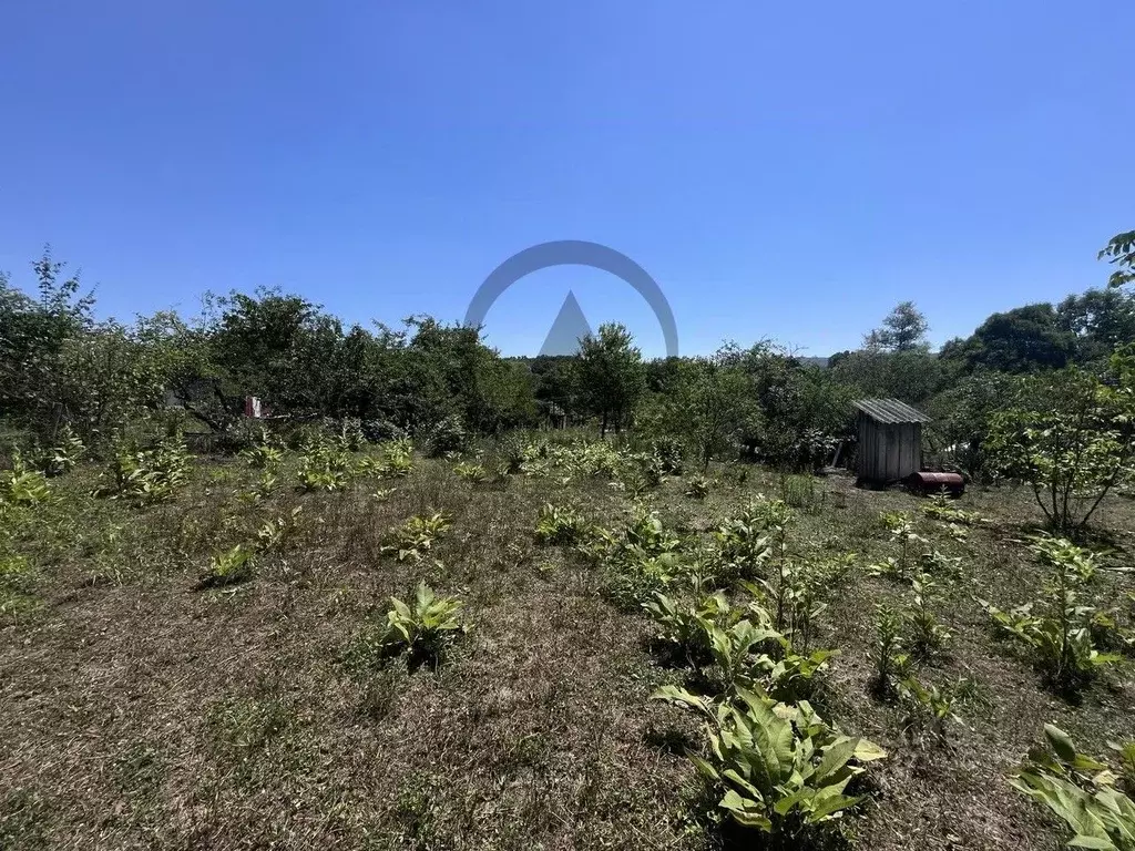 Участок в Краснодарский край, Апшеронский район, Нефтегорское ... - Фото 1
