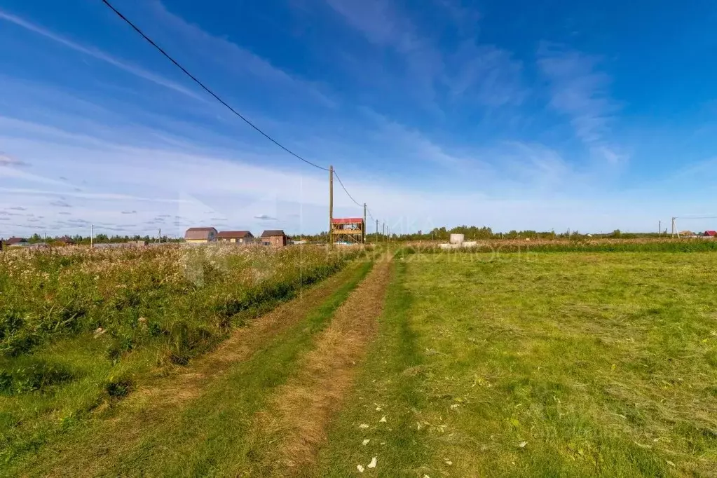 Участок в Тюменская область, Тюмень Царево садовое товарищество, 779 ... - Фото 2