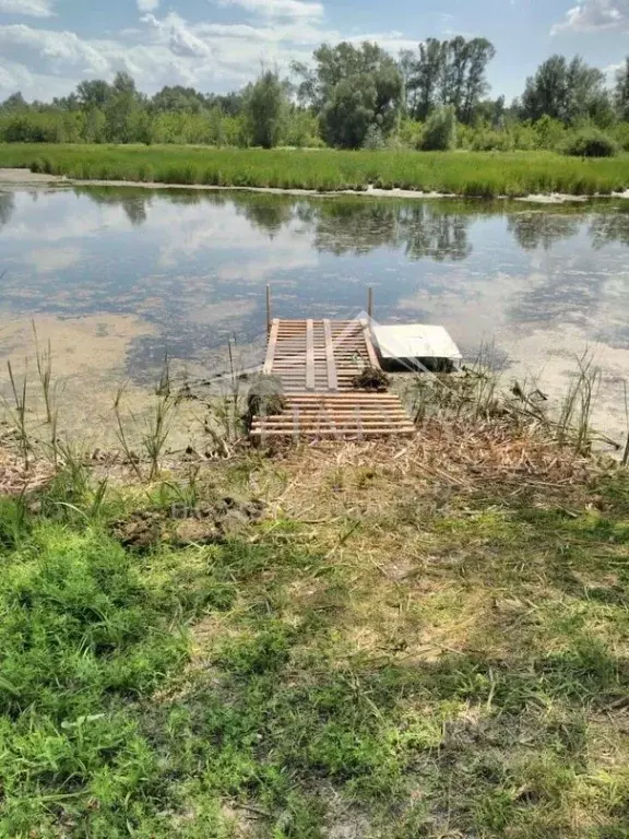 Участок в Саратовская область, Воскресенский район, Елшанское ... - Фото 0