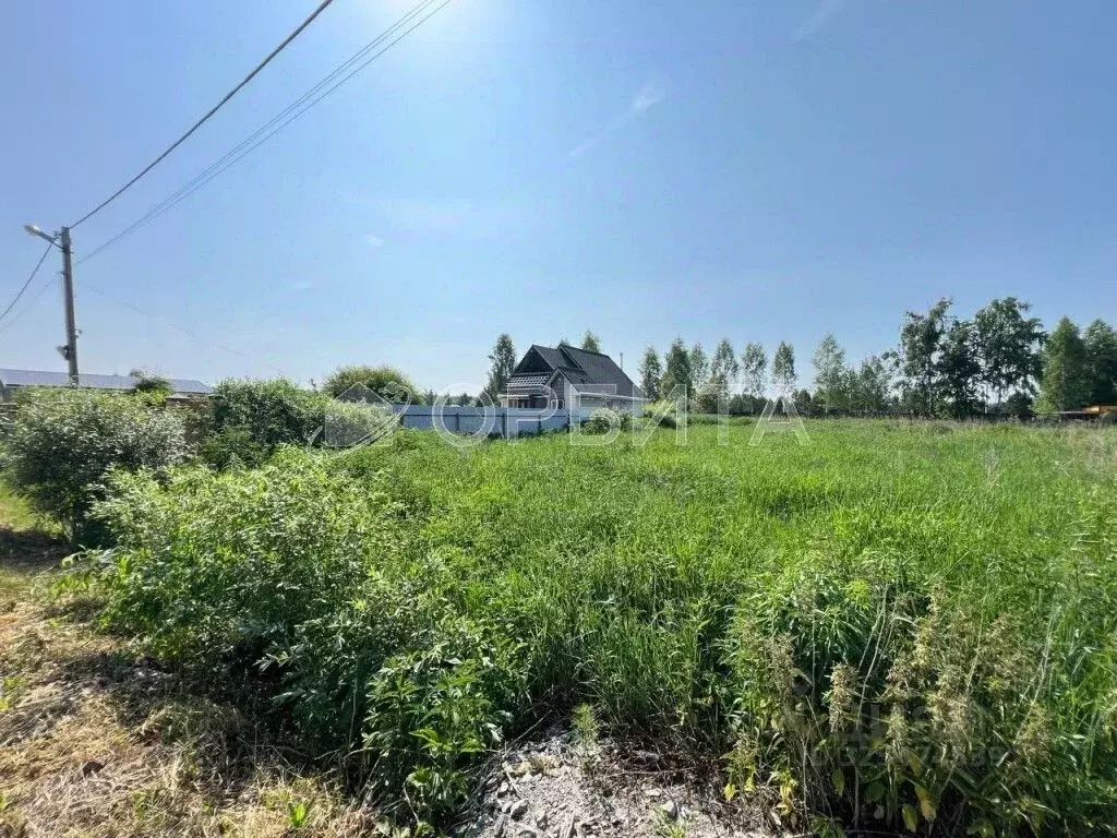 Участок в Тюменская область, Нижнетавдинский муниципальный округ, ... - Фото 2