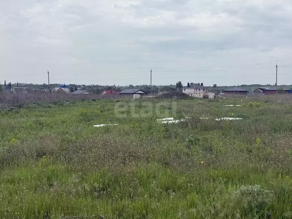 Участок в Воронежская область, Семилукский район, с. Девица ... - Фото 1
