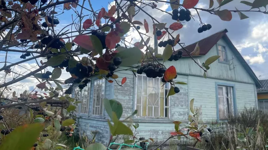 Дом в Ленинградская область, Киришский район, Кусинское с/пос, Маяк ... - Фото 1