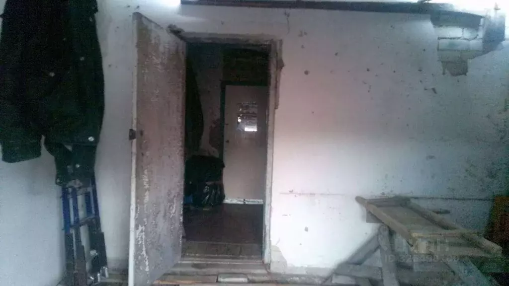 Помещение свободного назначения в Липецкая область, Данков Зеленая ... - Фото 2